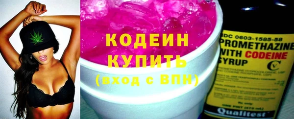 СК Гусь-Хрустальный