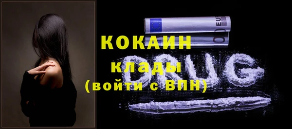 СК Гусь-Хрустальный