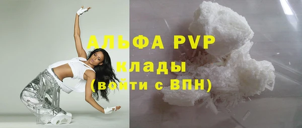 амф Гусиноозёрск