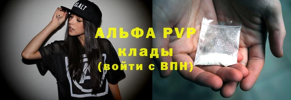 СК Гусь-Хрустальный