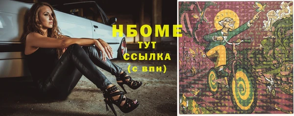 амф Гусиноозёрск