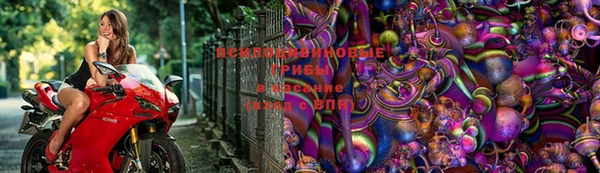 амф Гусиноозёрск