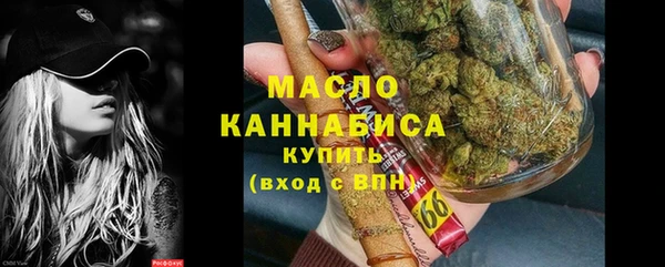 амф Гусиноозёрск