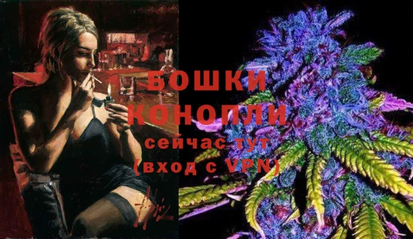 скорость Гусев