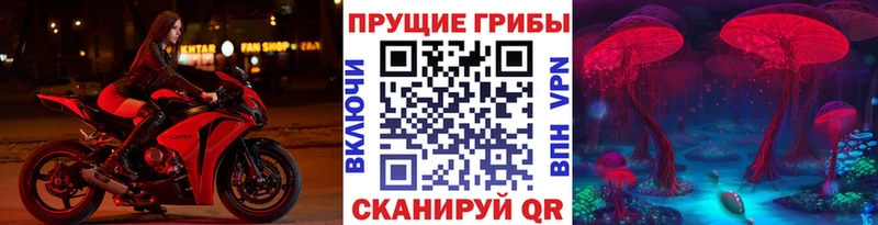 Галлюциногенные грибы Psilocybe  Задонск 